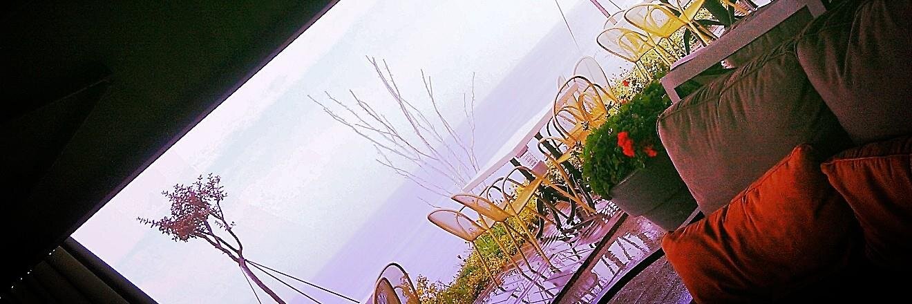 wedacagislar's profile banner image