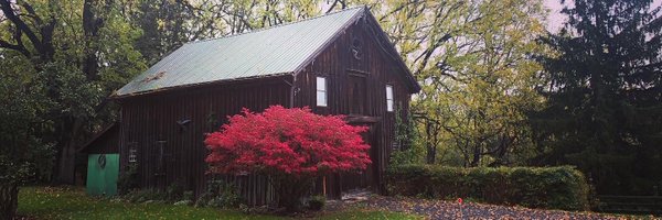 sheknowshoney Profile Banner