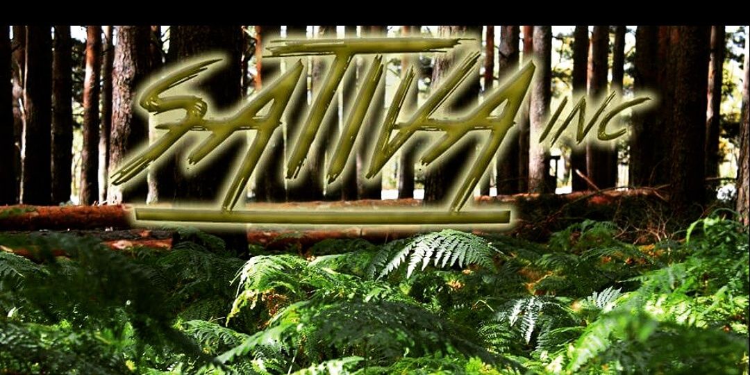 SativaInc_'s profile banner image