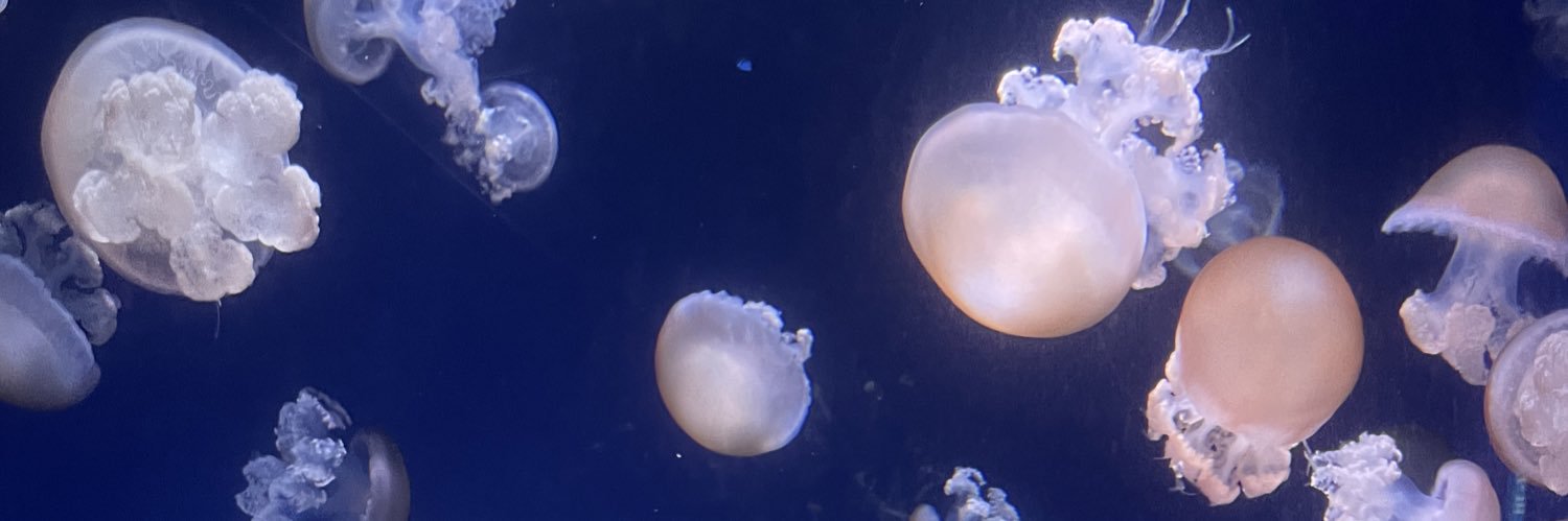 えちえちの果実 banner