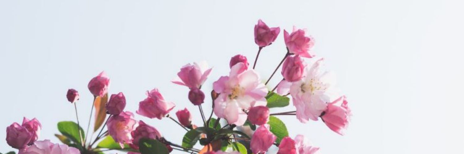 badrsl14's profile banner image