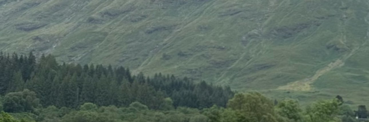 عبدالرحمن banner