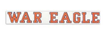 FakeCoachSteele's profile banner image