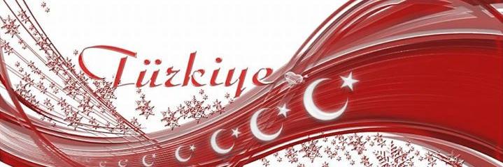 teskaracabey's profile banner image