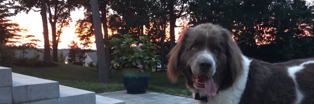 Czpotere29's profile banner image