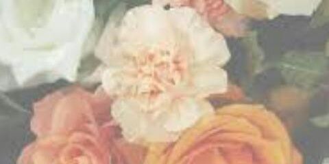 rcassies's profile banner image