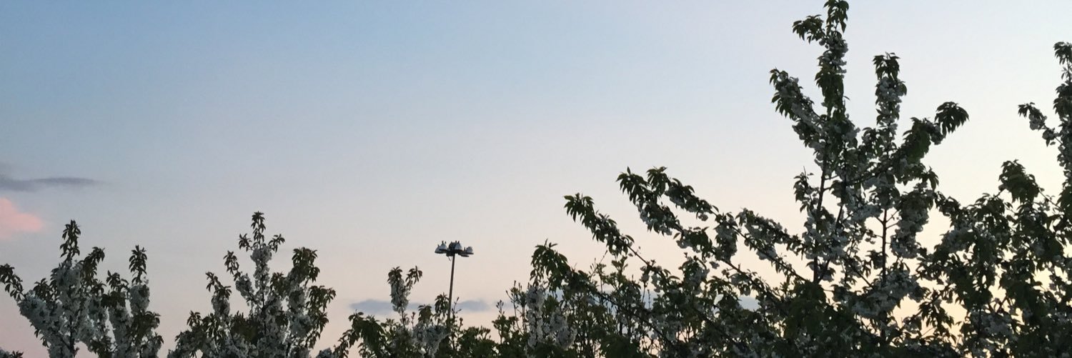 sofieuygun's profile banner image