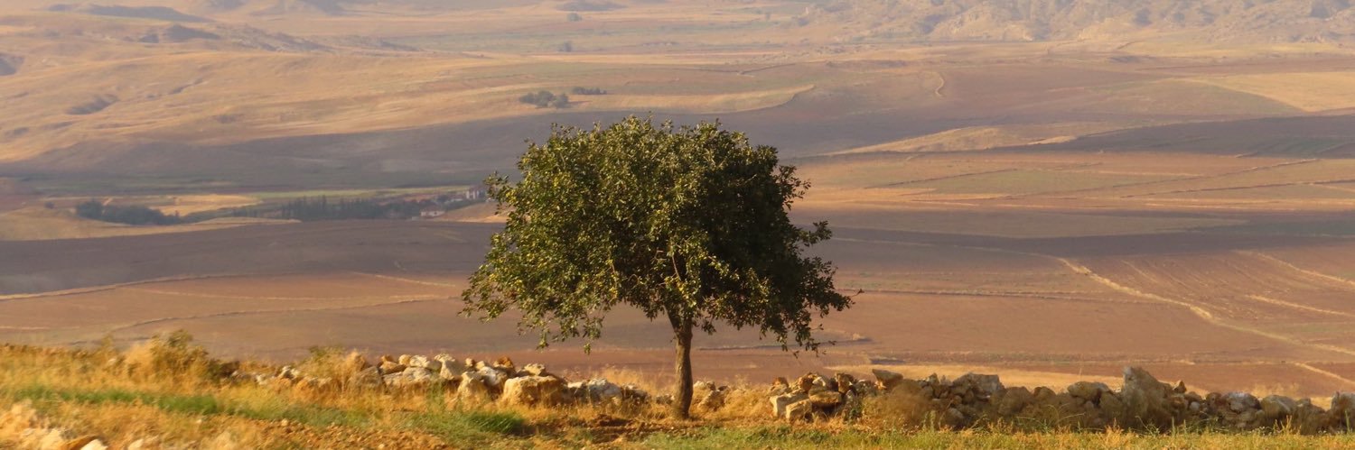 benkisacafp's profile banner image