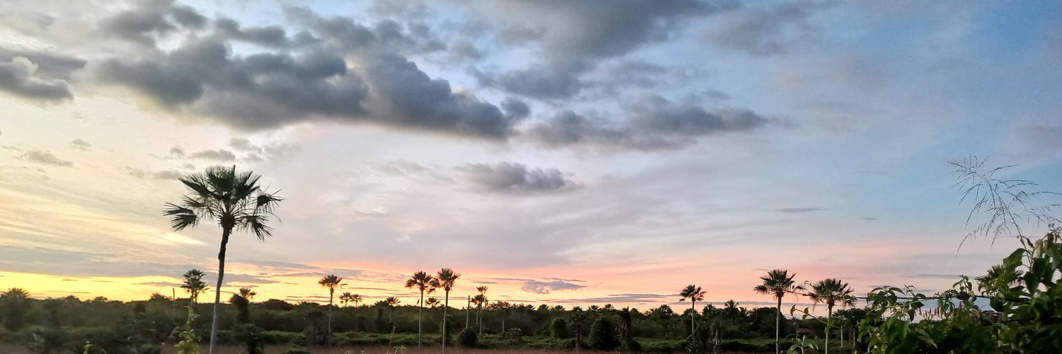 _luanapessoa's profile banner image