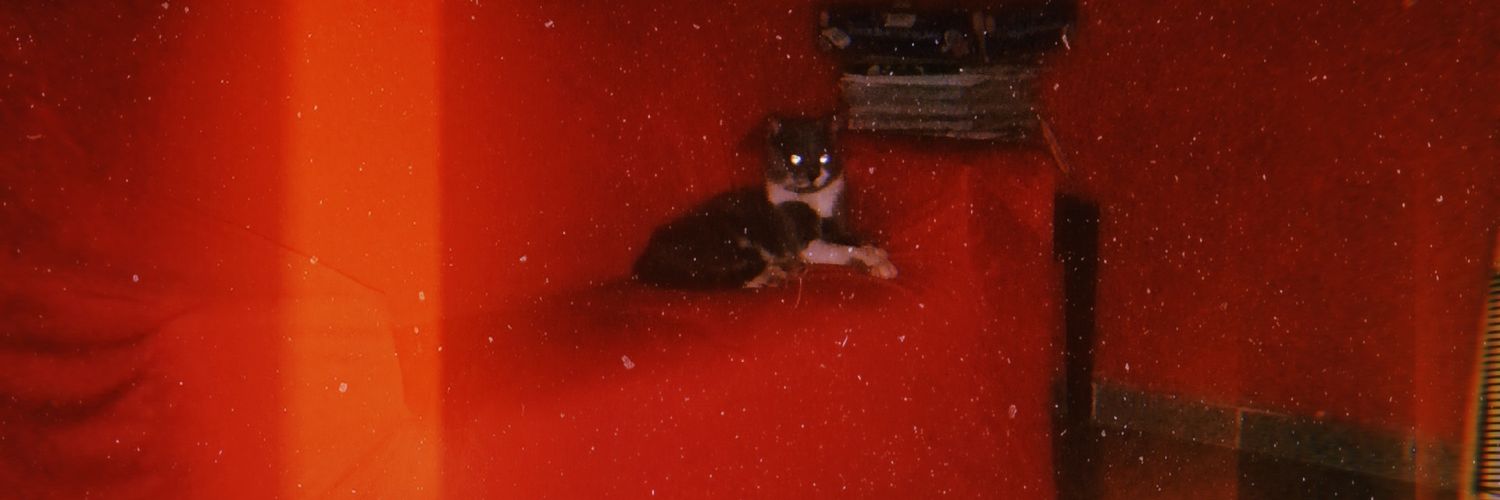 pedrohaydenn's profile banner image
