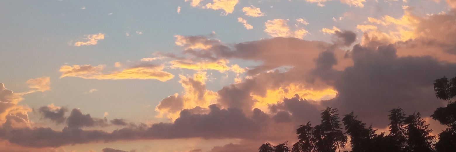 LeonesCastro's profile banner image