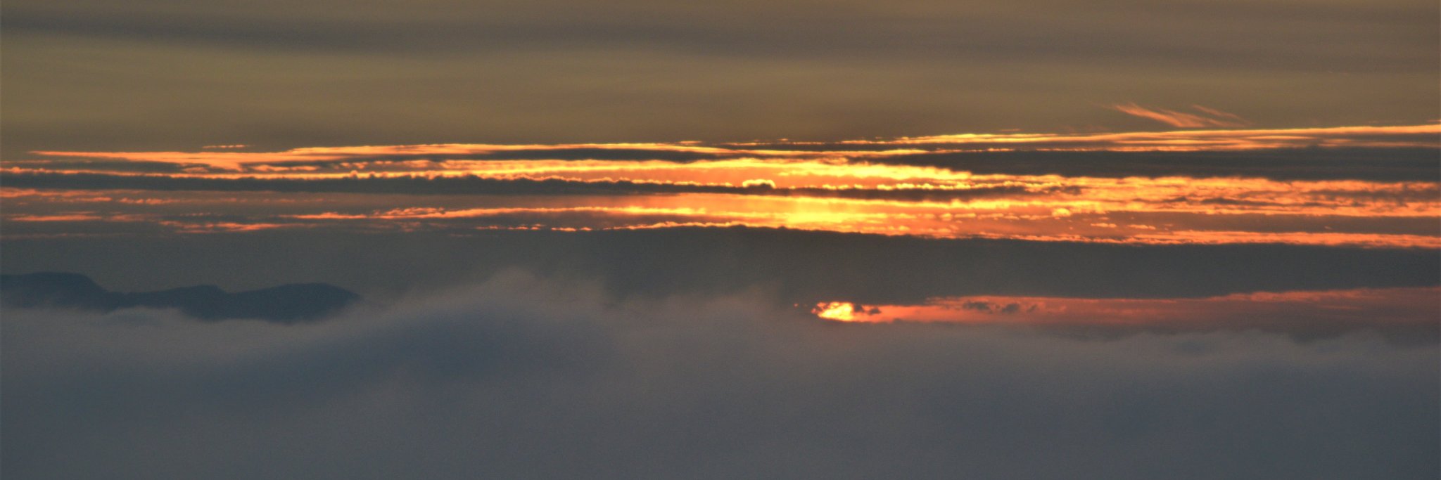 DebbieMckesson's profile banner image