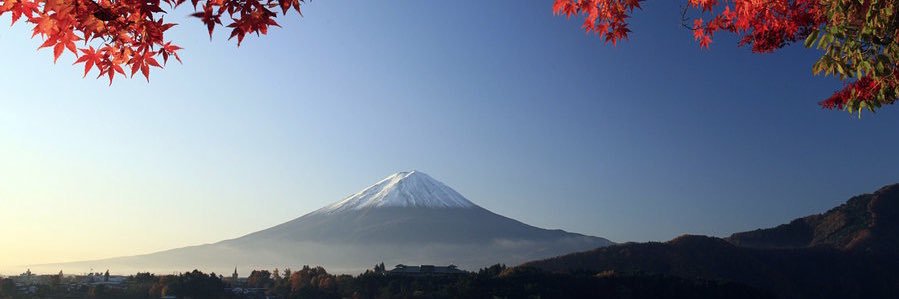 Schidemeister banner