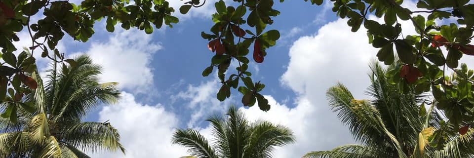mdlbsomosot's profile banner image