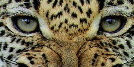 manuel___posey1's profile banner image