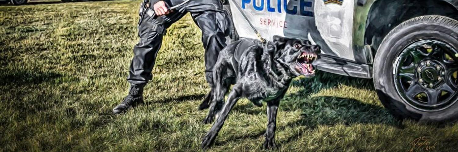 swade and sevan banner