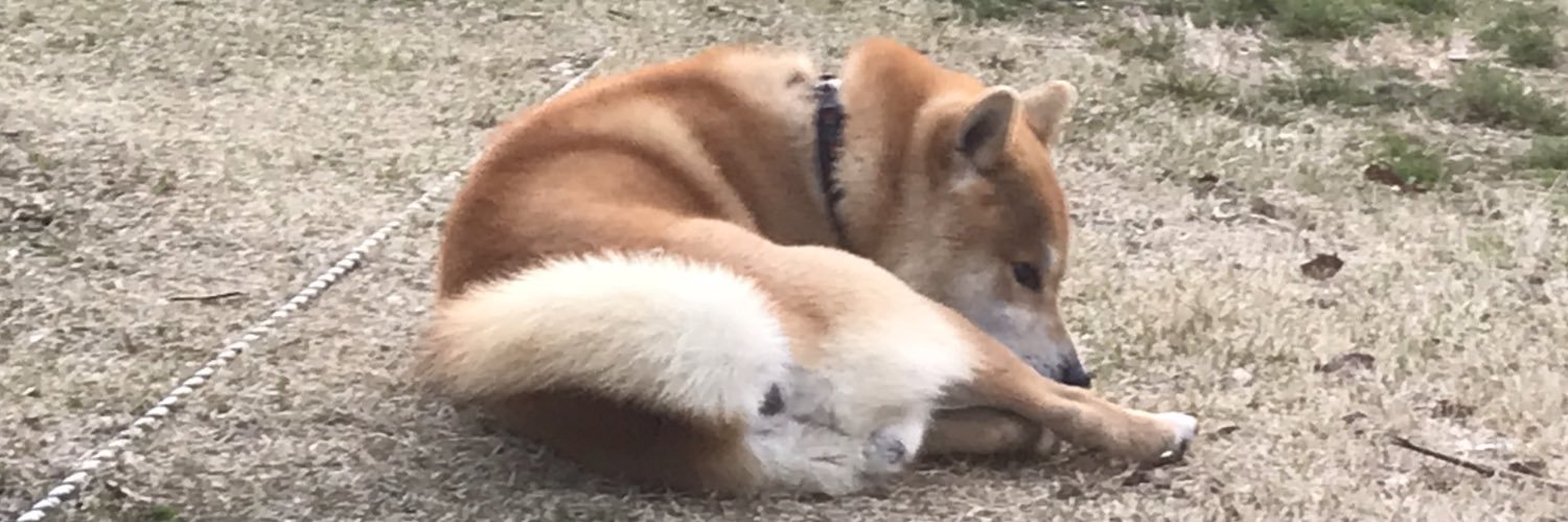 ryomazeyo_'s profile banner image