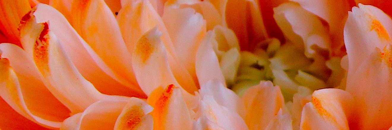 ATerrillFineArt's profile banner image