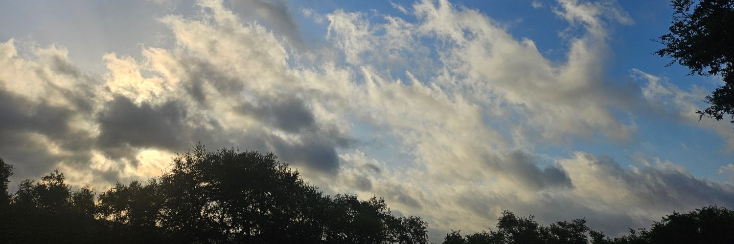 millliee_'s profile banner image
