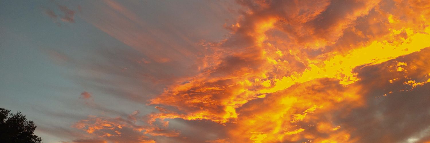 orbital1205's profile banner image