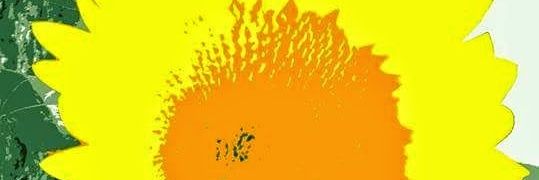 jacksing4's profile banner image