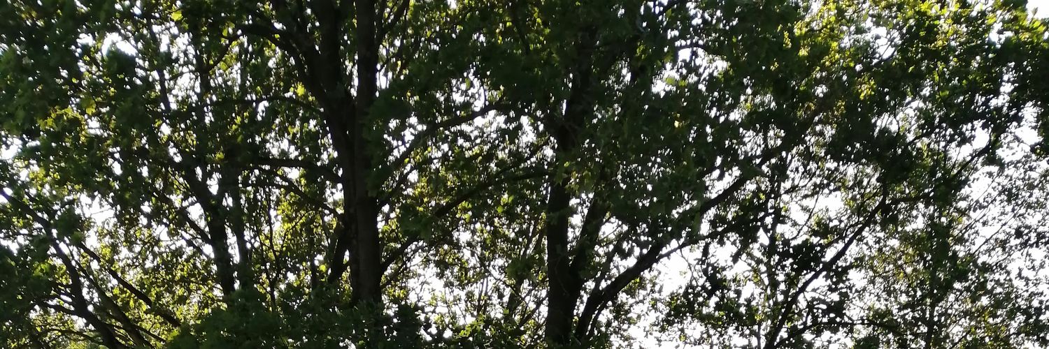 Kktzzz's profile banner image