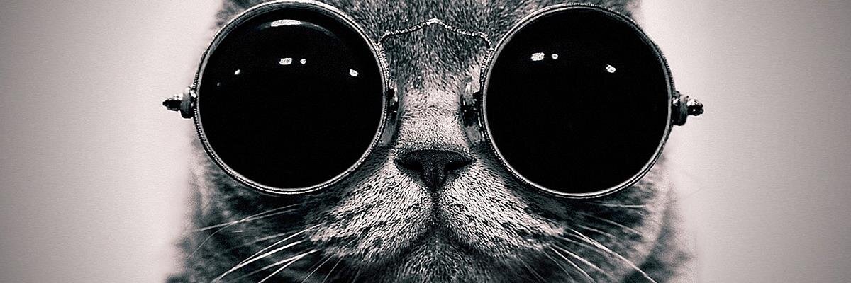 JuliannaCobb's profile banner image