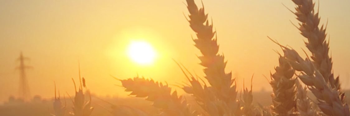 anna_lindh's profile banner image