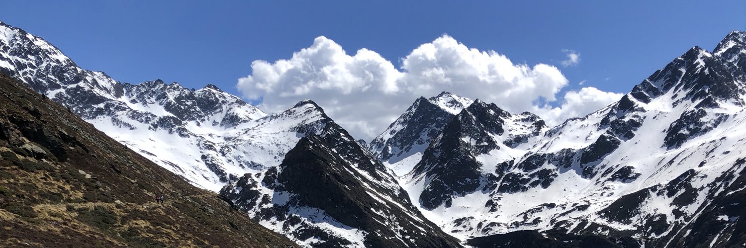 Toldy_'s profile banner image