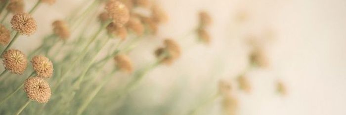 BittenbiteGirl's profile banner image