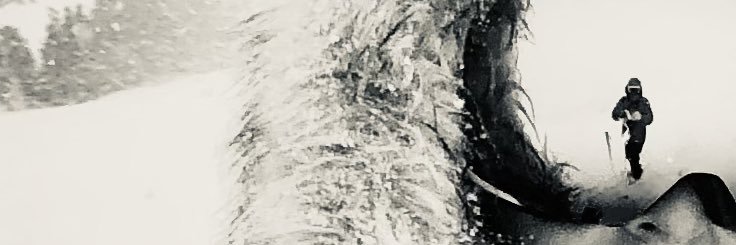 ChickenNicki's profile banner image