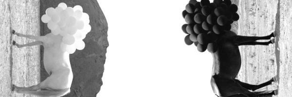 desnorteeu's profile banner image