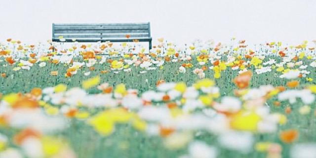 Zainab_96H's profile banner image