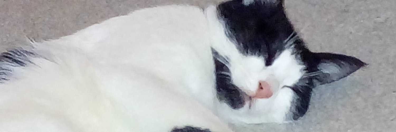 ekinnmekin's profile banner image