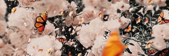 kasummers_'s profile banner image