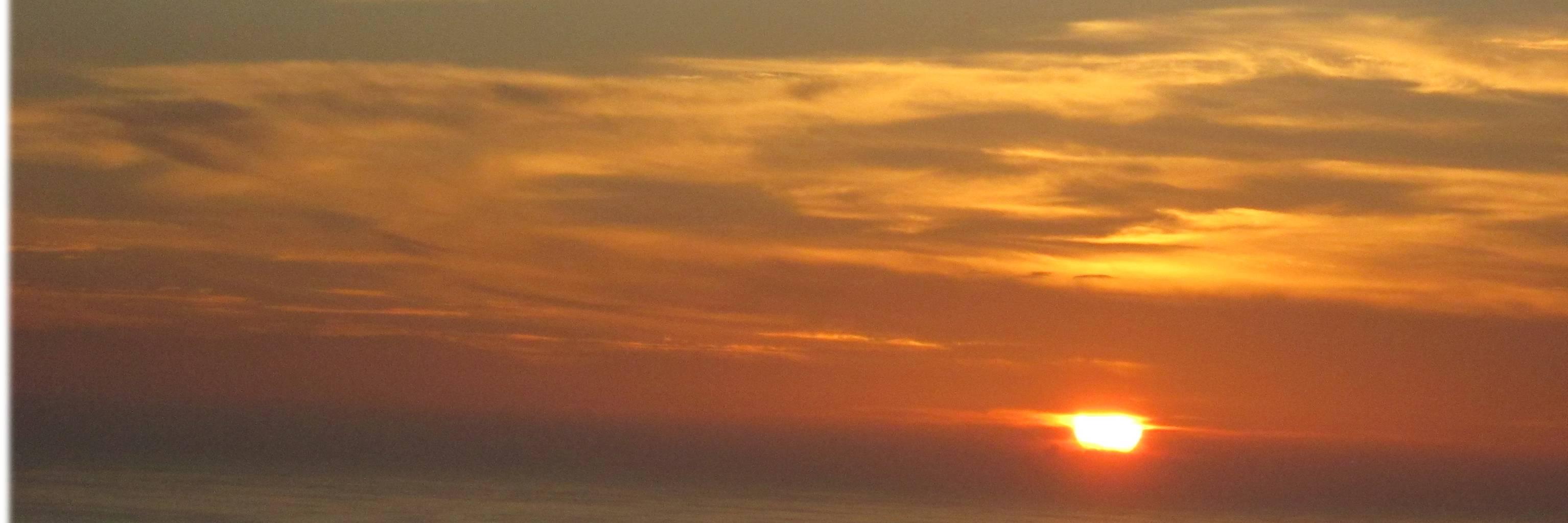 yureduic's profile banner image