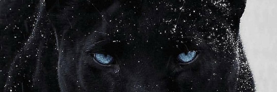 Mr_Victorious_'s profile banner image