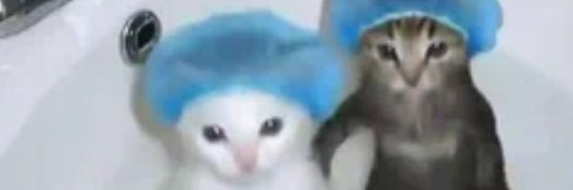 bberkeer's profile banner image