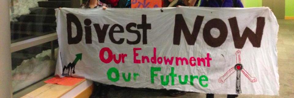 DivestFund's profile banner image