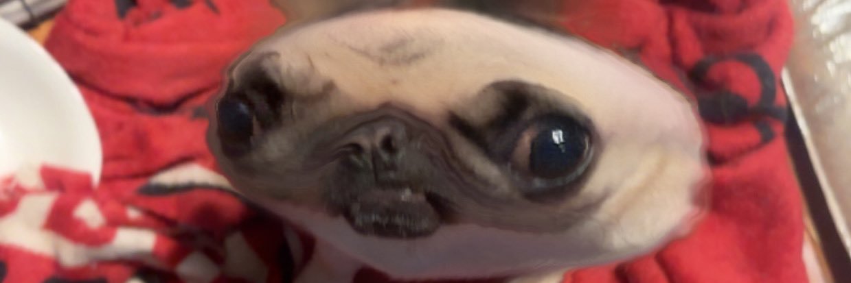 ryanfrnka's profile banner image