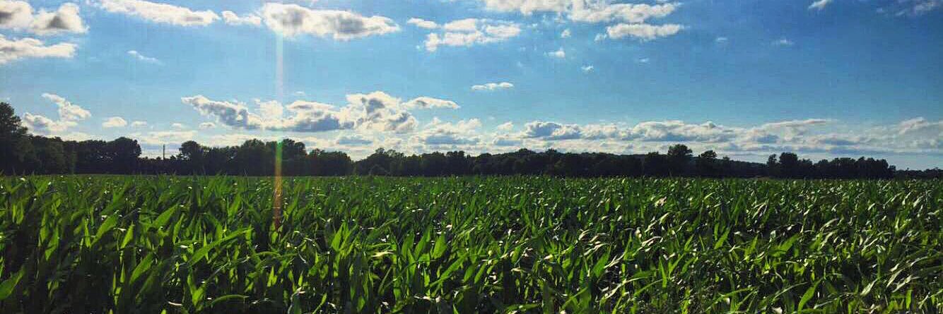 brendenknepper's profile banner image
