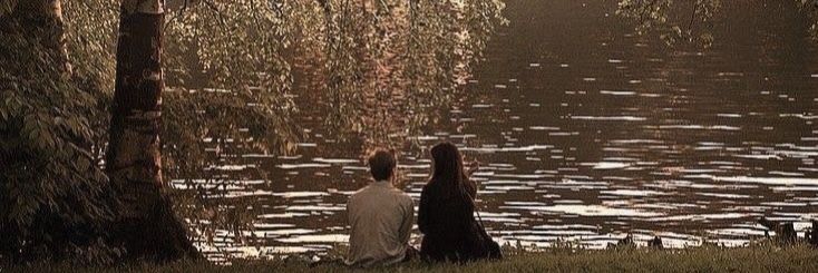 ici banner