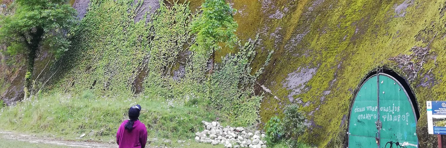vale_ribero's profile banner image