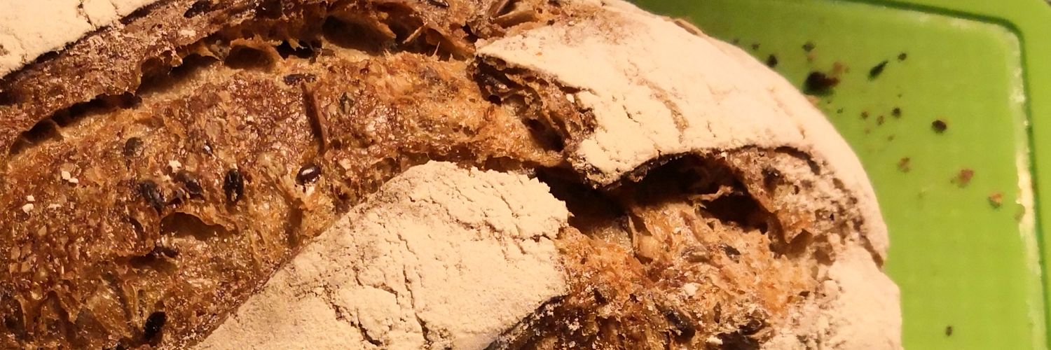 bitto_max's profile banner image