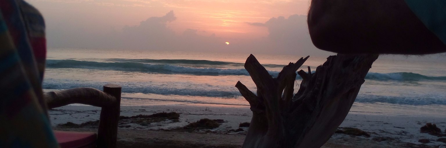 lisajk14's profile banner image