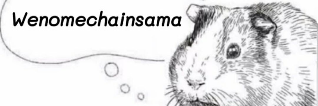 r4dioear's profile banner image