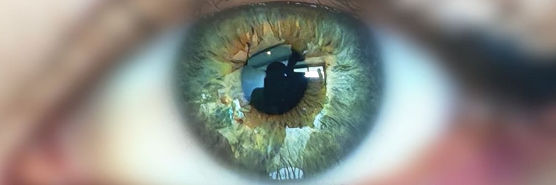 bleuchip.algo banner