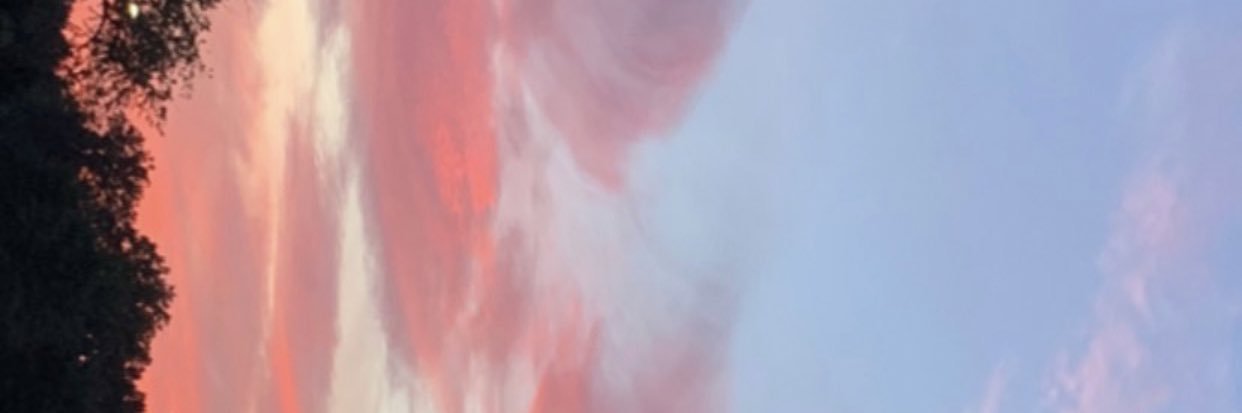 __NiaMariee's profile banner image