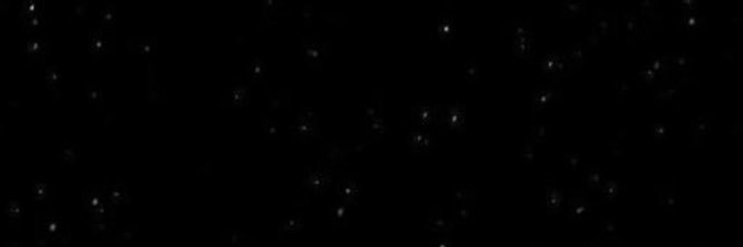 marclerquez's profile banner image
