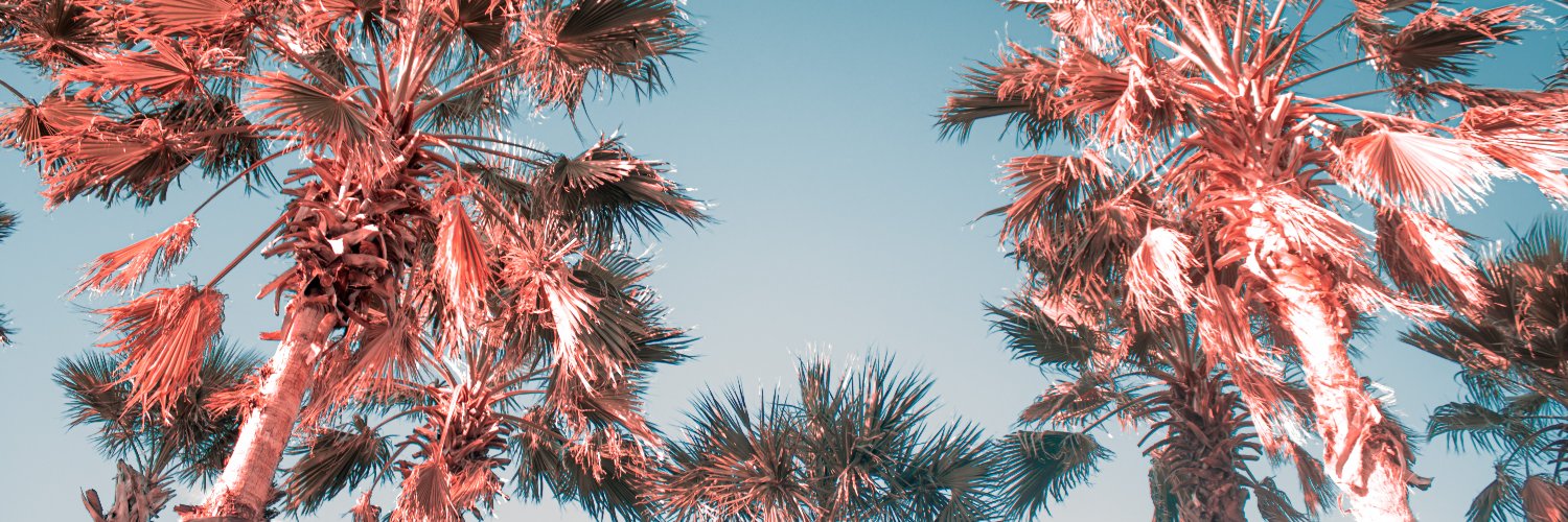 jvel213's profile banner image